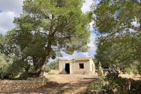 Landejendom i El Perello, Tarragona, El Perello - € 56.000 | Ref: Finca Bitem Joa - foto 14